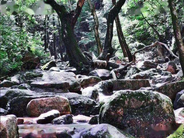 美妙圣诞节拼图