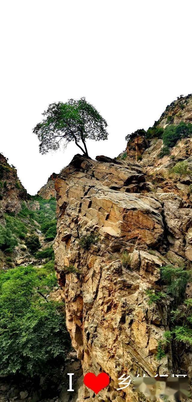 170万年前的元谋人都确认了，为何四千年前的夏朝仍不被承认？