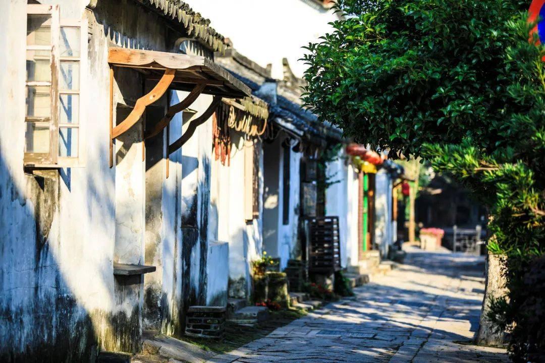 奔跑的兔子